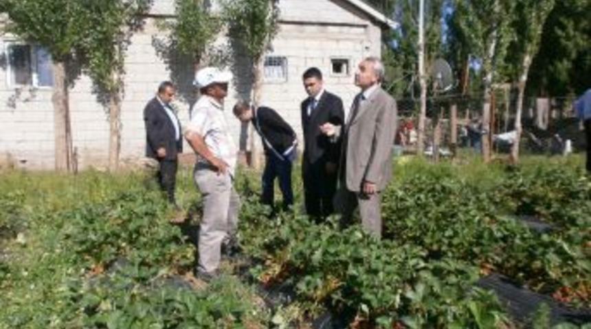 &Ccedil;ilek &Uuml;reticisine Gıda Tarım Ve Hayvancılık M&uuml;d&uuml;rl&uuml;ğ&uuml;'nden Destek
