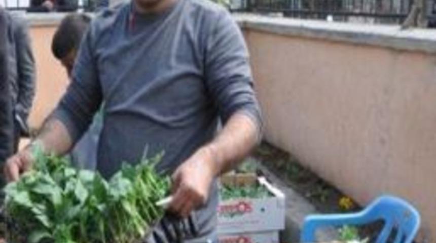 Beyt&uuml;şşebap&rsquo;ta Sebzecilik Projesine Yoğun Ilgi