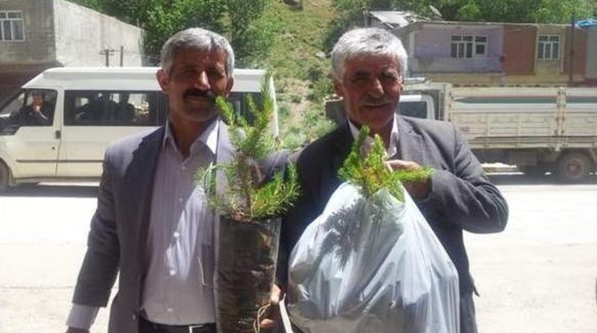 Seninde Dikili Bir Ağacın Olsun Kampanyası