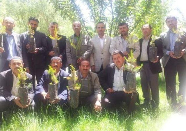 Seninde Dikili Bir Ağacın Olsun Kampanyası 1