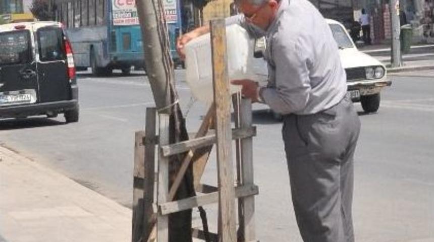 D&uuml;zceli Esnaflardan &Ouml;rnek Davranış