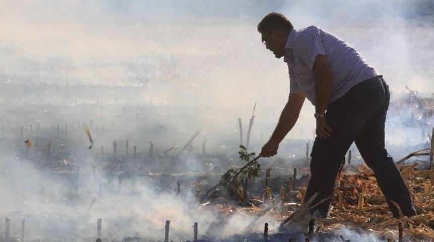 Anız Yakana Para Cezası