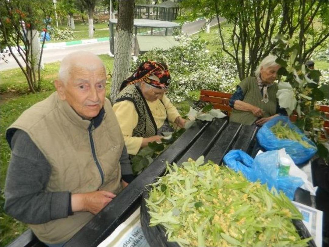 Huzurevinde Ihlamur Seferberliği