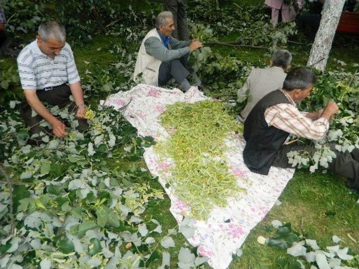 Huzurevinde Ihlamur Seferberliği G1