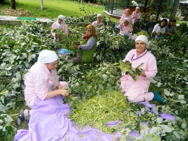 Huzurevinde Ihlamur Seferberliği G2