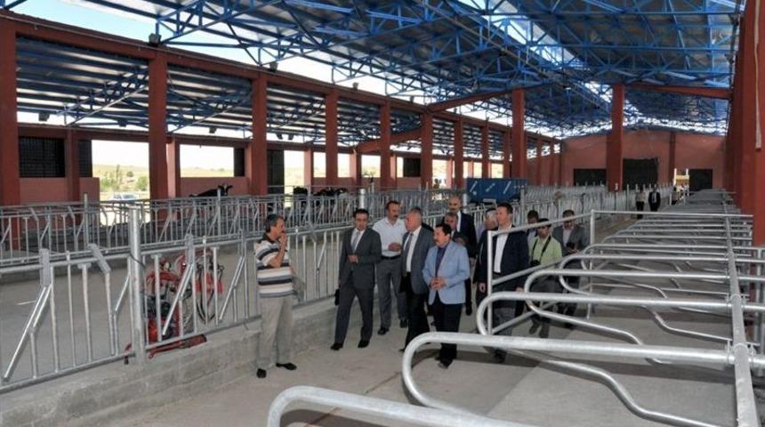 Balkanlıoğalu, 104 K&ouml;yl&uuml;n&uuml;n Ortak Kurduğu S&uuml;t Tesisini Inceledi