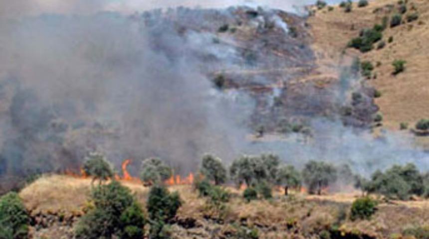 Eğlence olsun diye tarlayı yaktılar