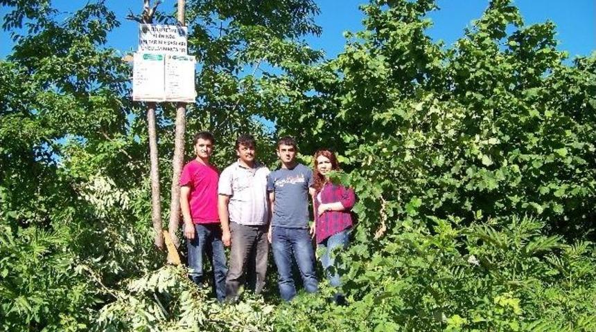 Kumru&rsquo;da İyi Tarım Uygulamaları Projesi &Ccedil;alışması