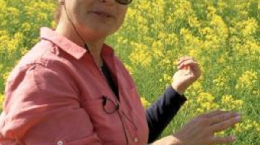 Narenciye &Uuml;reticilerinin G&uuml;ney Afrika &Ccedil;ıkarması