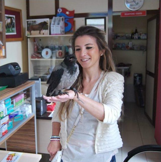 Okan Karga Vakfıkebir&rsquo;in Maskotu Oldu 1