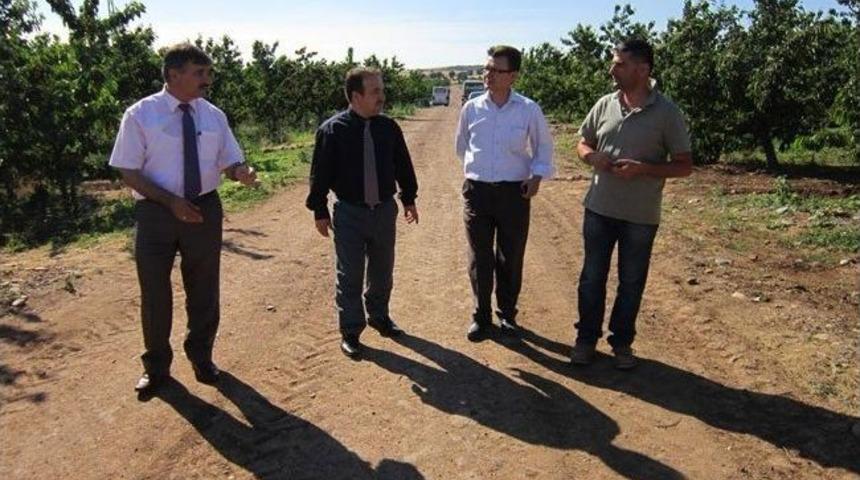 Meyve Bah&ccedil;elerine İnceleme