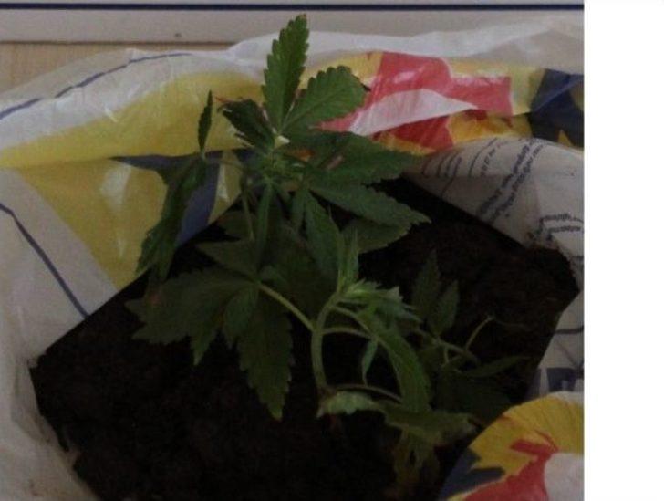 Marmaris'te Uyuşturucu Operasyonu G5