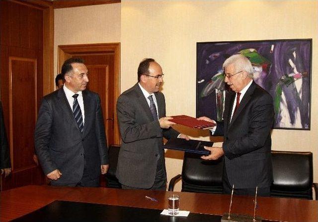 Ormanlardan Odun Dışında Da Faydalanılacak 1