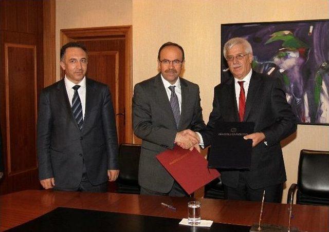 Ormanlardan Odun Dışında Da Faydalanılacak 2