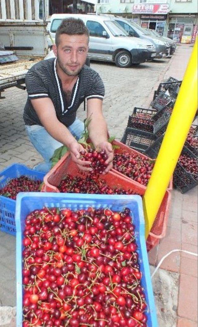 Tekirdağ Kirazı Tezgahta 1