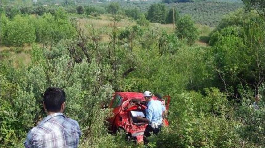 Kontrolden &Ccedil;ıkan Aracıyla Zeytinliğe U&ccedil;an S&uuml;r&uuml;c&uuml; &Ouml;ld&uuml;