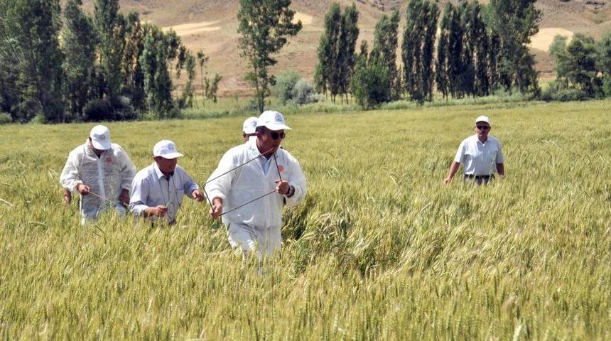 Gıda, Tarım Ve Hayvancılık M&uuml;d&uuml;rl&uuml;ğ&uuml; Ekipleri S&uuml;ne M&uuml;cadelesini S&uuml;rd&uuml;r&uuml;yor
