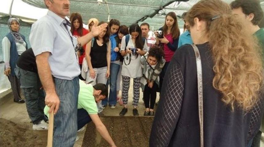 Orman Fak&uuml;ltesi &Ouml;ğrencileri Fidanlık Hakkında Bilgi Aldı