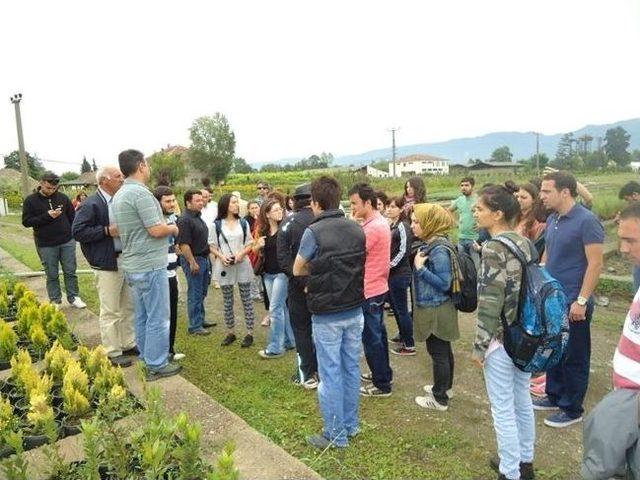 Orman Fakültesi Öğrencileri Fidanlık Hakkında Bilgi Aldı