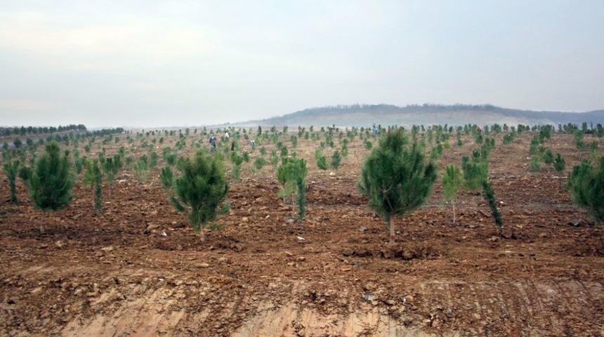 Eroğlu'ndan İstanbul'a Iki Yeni Orman Ve 5 Milyon Fidan M&uuml;jdesi