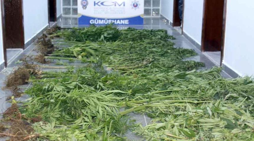 G&uuml;m&uuml;şhane'de Uyuşturucu Operasyonunda 20 G&ouml;zaltı