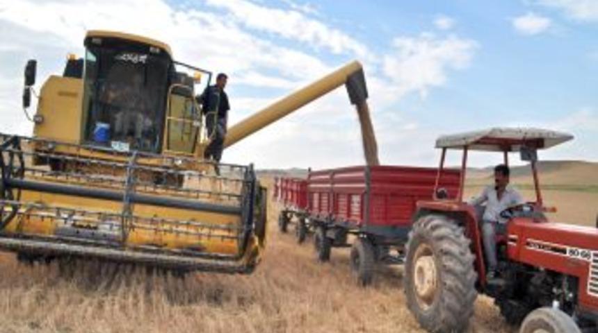 Yerköy Ziraat Odası Dane Kaybına Karşı Çiftçileri Uyardı