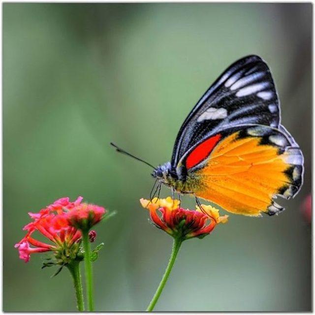 Vadide Kaçak Yapılara Yıkım Kararı 3