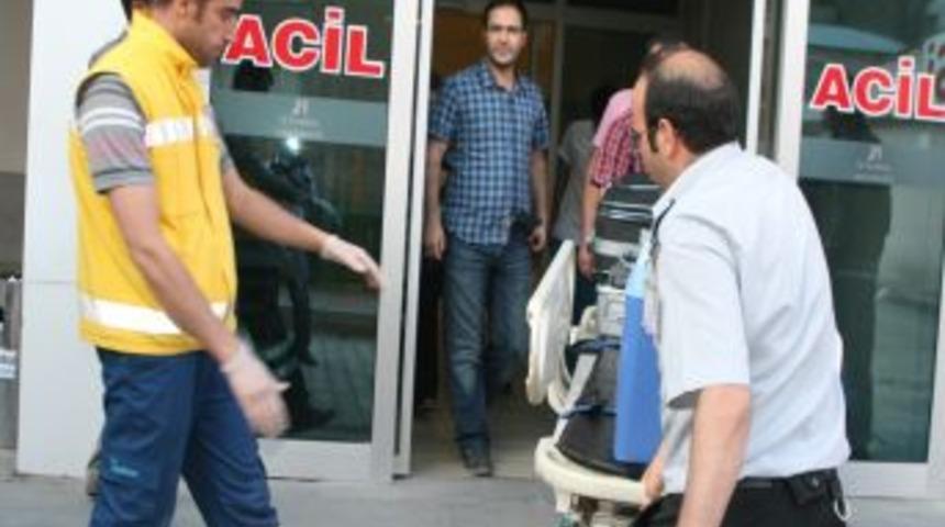 Ercişli K&uuml;&ccedil;&uuml;k Ş&uuml;heyda'nın Organları, Nakil Bekleyenlere Umut Olacak