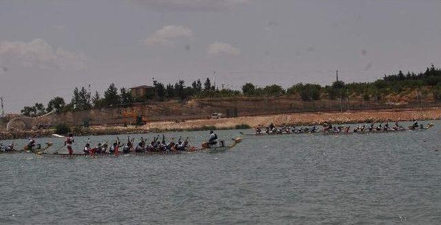 Alleben Su Sporları Festivali Finalleri