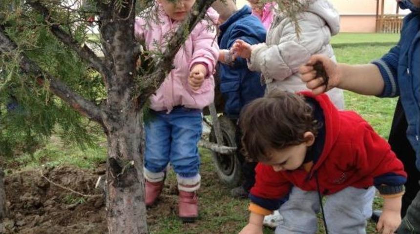 Gonca'lı Minikler Fidan Dikti