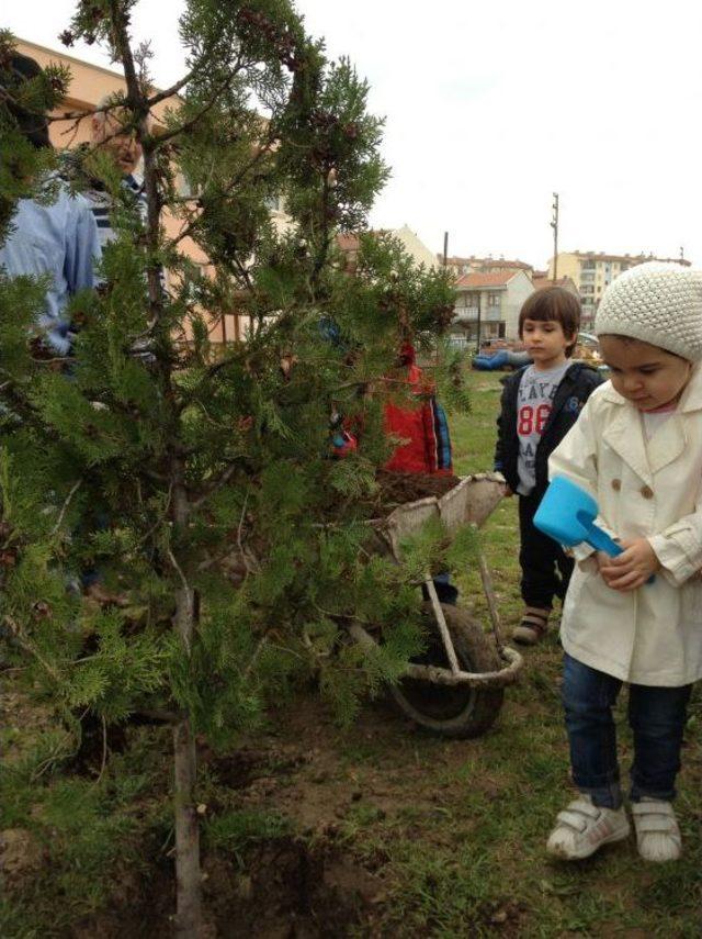 Gonca'lı Minikler Fidan Dikti