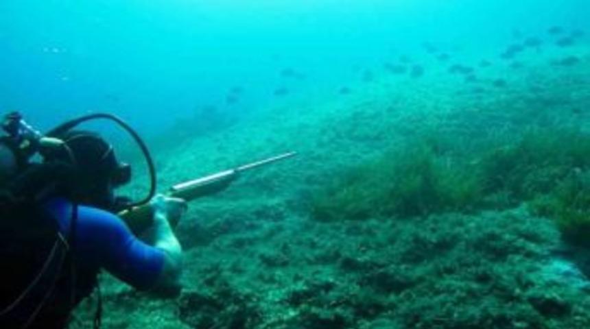 Sad'dan &ldquo;zıpkınla Balık Avlamayın&rdquo; Uyarısı