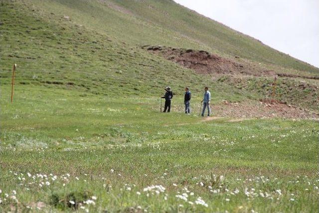 Palandöken Kayak Merkezi, Kışın Kar Yazın Papatyayla Beyaza Bürünüyor