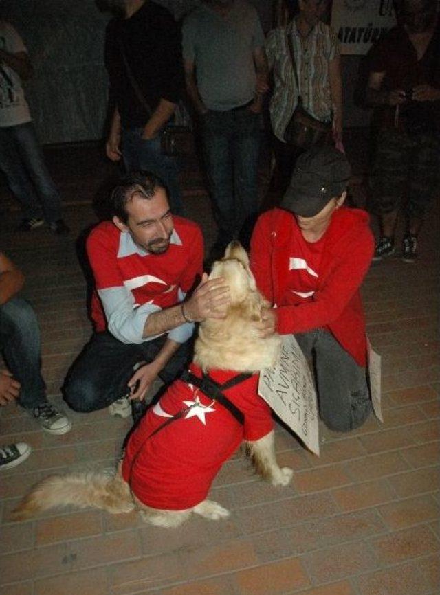 K&ouml;peğine T&uuml;rk Bayrağı giydirdi 1