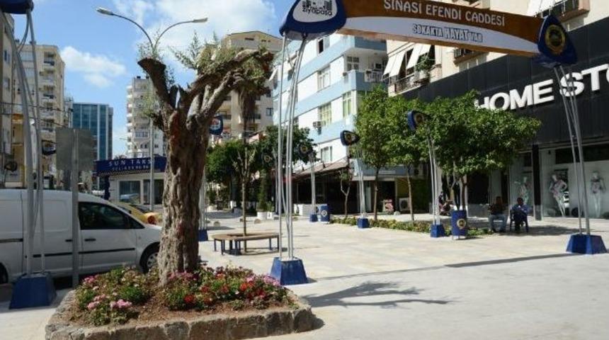 Adana'da Anıt Ağa&ccedil;lar Koruma Altına Aldı