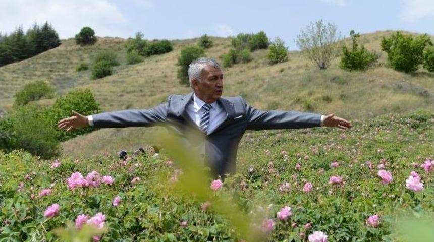 Başkan G&uuml;naydın Festivalde G&uuml;l Topladı