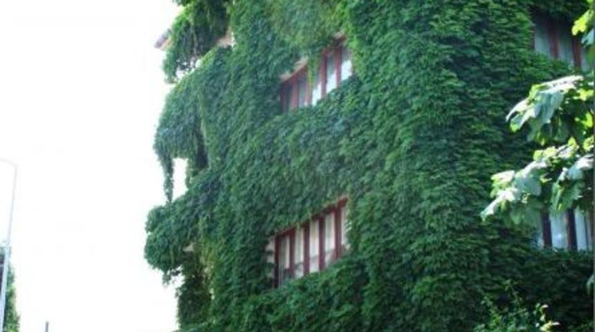 Sarmaşık Apartman, G&ouml;renleri Kendisine Hayran Bırakıyor