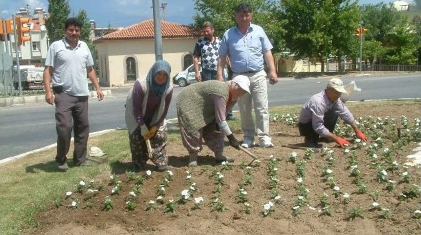 Burhaniye&rsquo;de Kent G&uuml;zelliğine Kadın Eli