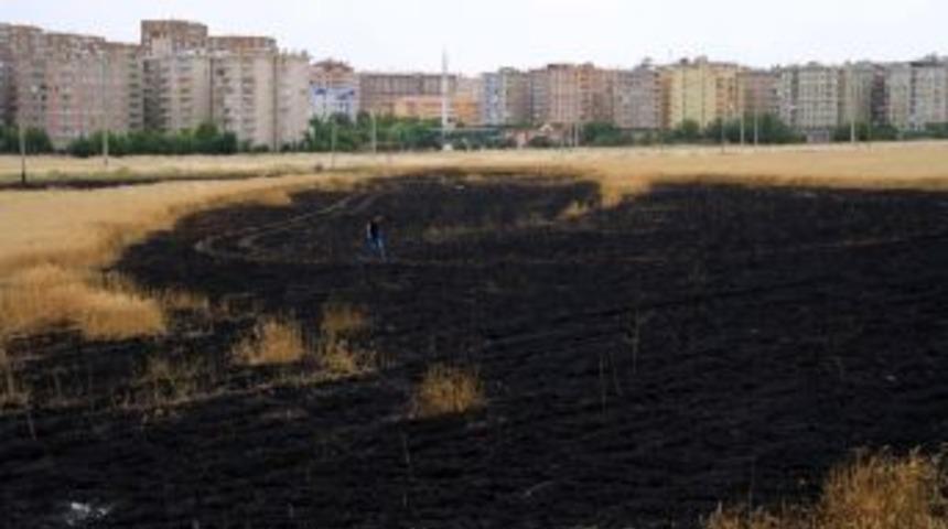 Sigara Izmariti Buğday Tarlasını Yaktı