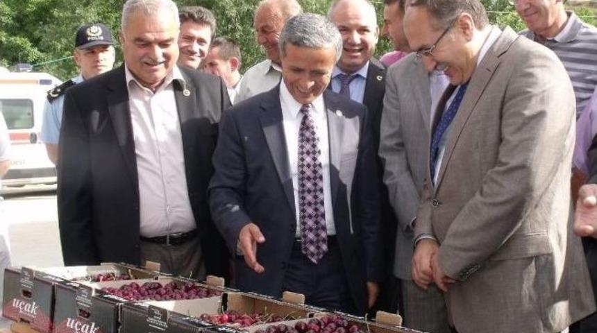 Uluderbent Kiraz Festivali Yapıldı