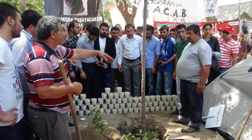 CHP&rsquo;liler, Gezi Parkı&rsquo;nda Abdullah C&ouml;mert Fidanı Dikti