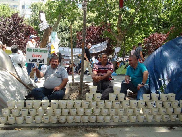 CHP’liler, Gezi Parkı’nda Abdullah Cömert Fidanı Dikti