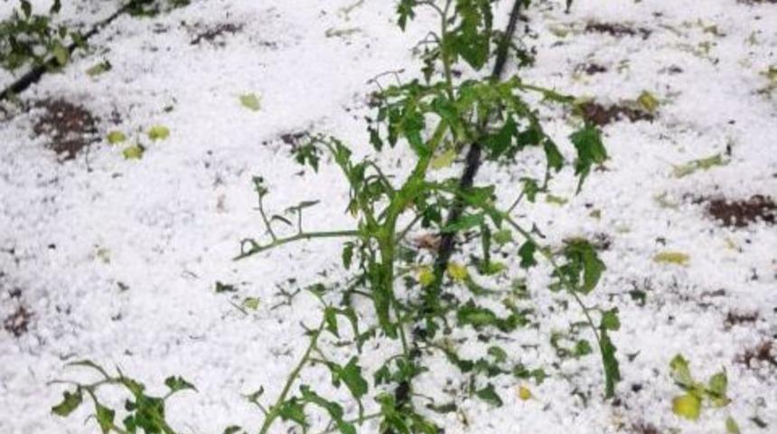 Kayseri&rsquo;de Dolu Yağışı Ekili Arazilere Zarar Verdi