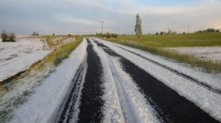 Dolu Yağışı, Tarım Arazilerine B&uuml;y&uuml;k Zarar Verdi