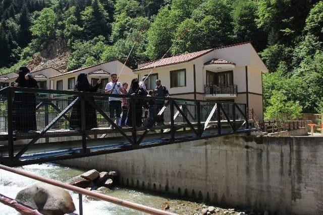 Arap Turistler Doğu Karadeniz’i Geziyor