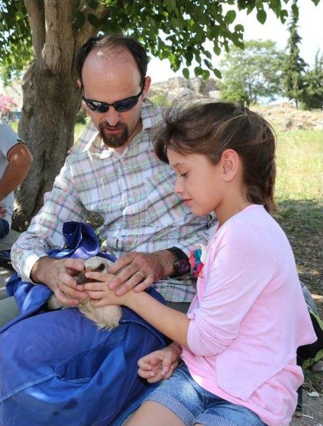 Selçuk’ta Leylekler Yakın Takipte