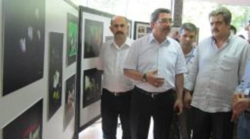 Işık İzi Sergisi A&ccedil;ıldı