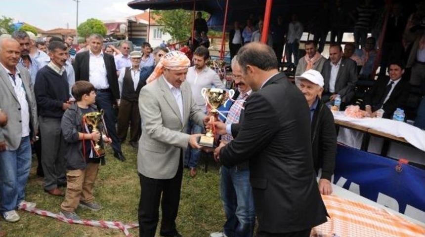 Hacıkebir'de Rahvan At Yarışları