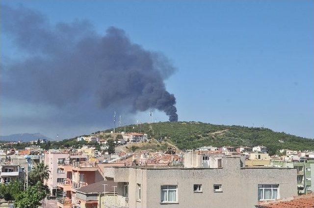 Petkim'de Arıza Hava Kirliliğine Neden Oldu