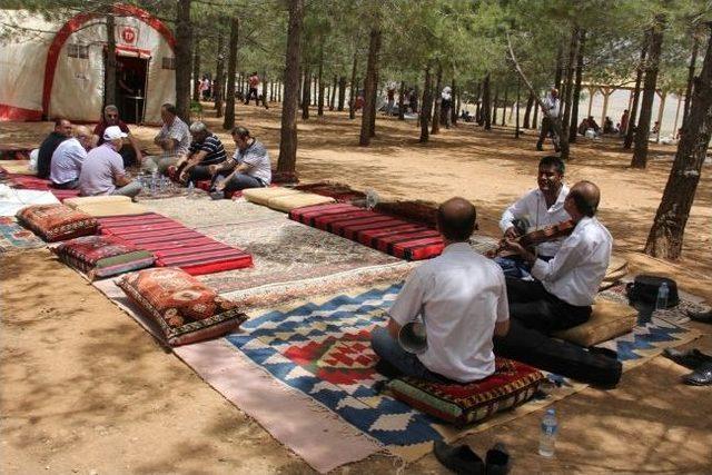 Tpao, Uçurtma Şenliği Düzenledi